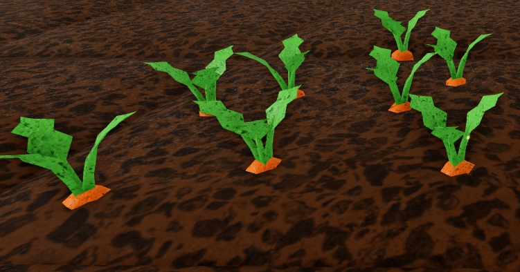 Carrotgrown(1).jpg