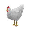 A chicken.
