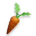 A carrot in crop form.