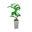 LeafyHouseplant.png